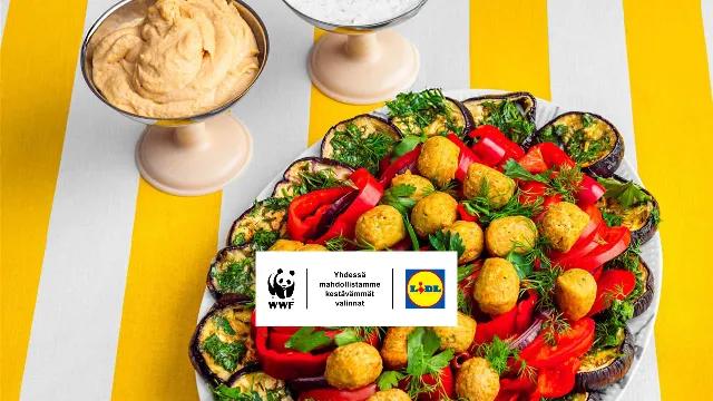 Falafel-munakoisolautanen